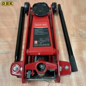 Con đội cá sấu 4 tấn